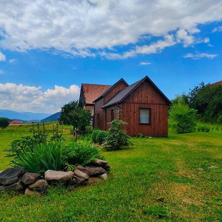 Organicle Lodge Sincraieni Екстер'єр фото