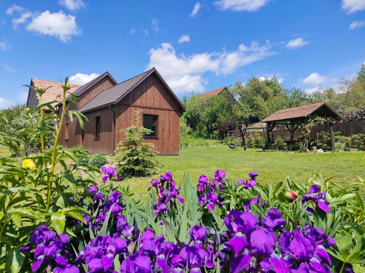 Organicle Lodge Sincraieni Екстер'єр фото