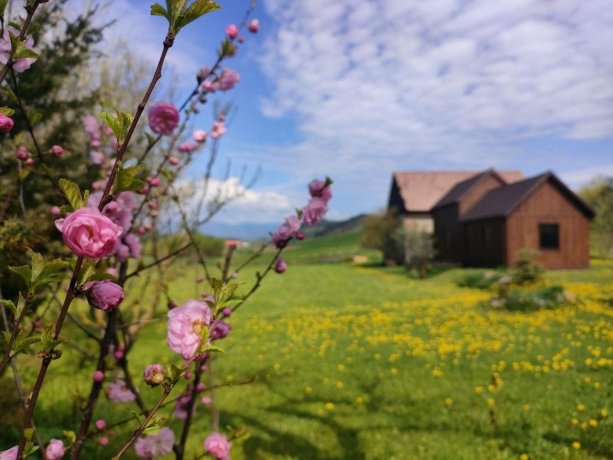 Organicle Lodge Sincraieni Екстер'єр фото