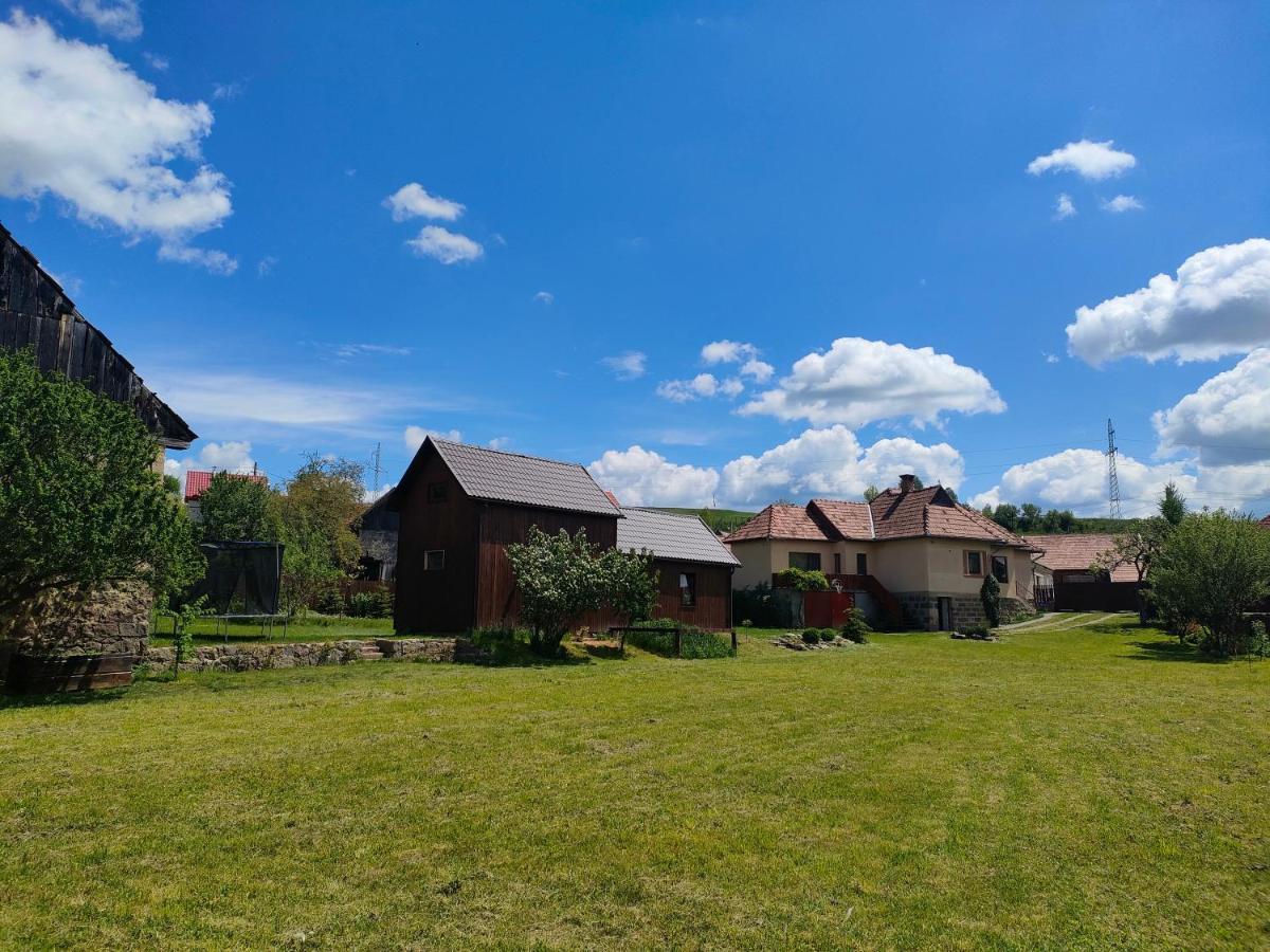 Organicle Lodge Sincraieni Екстер'єр фото