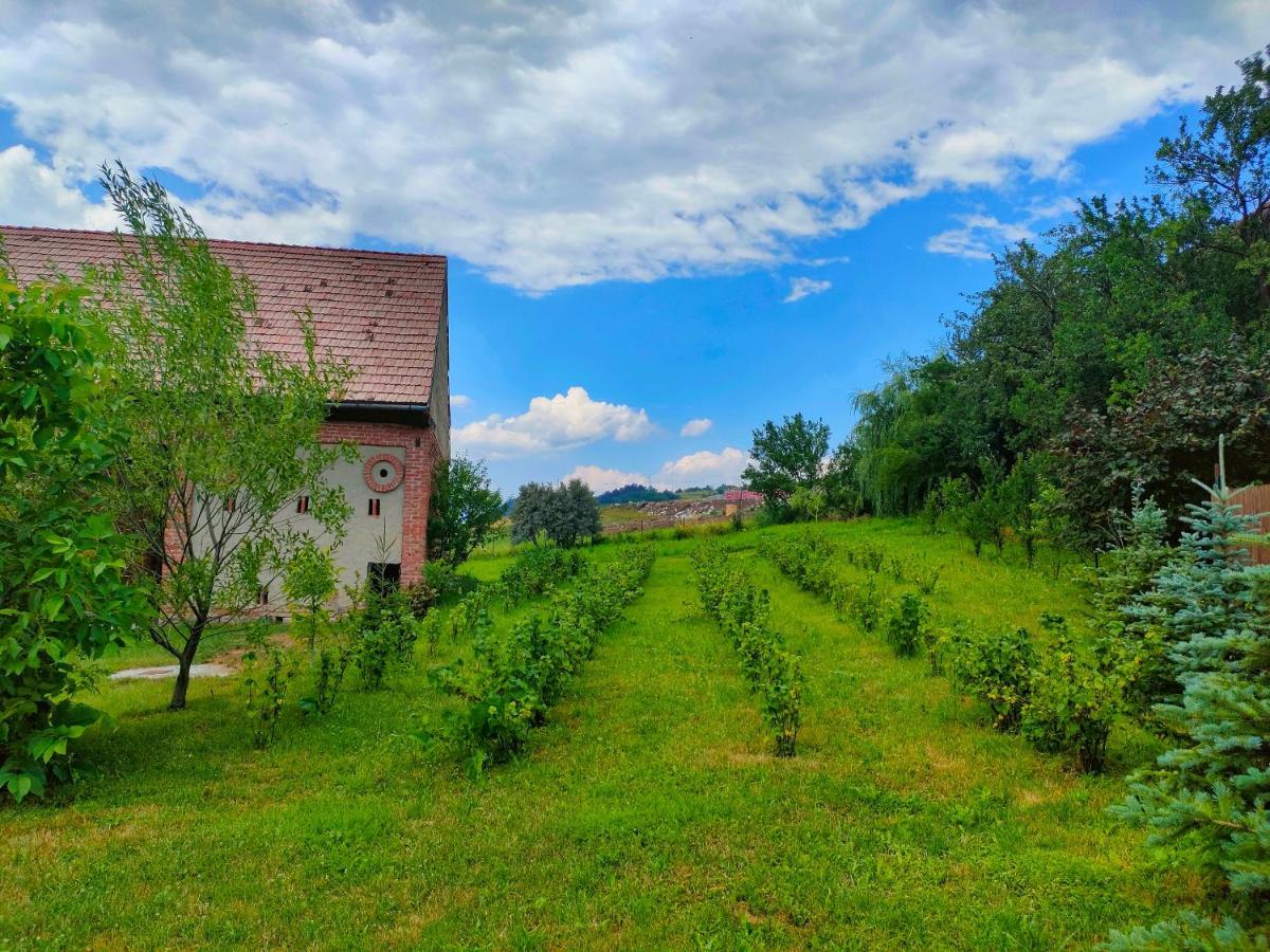 Organicle Lodge Sincraieni Екстер'єр фото