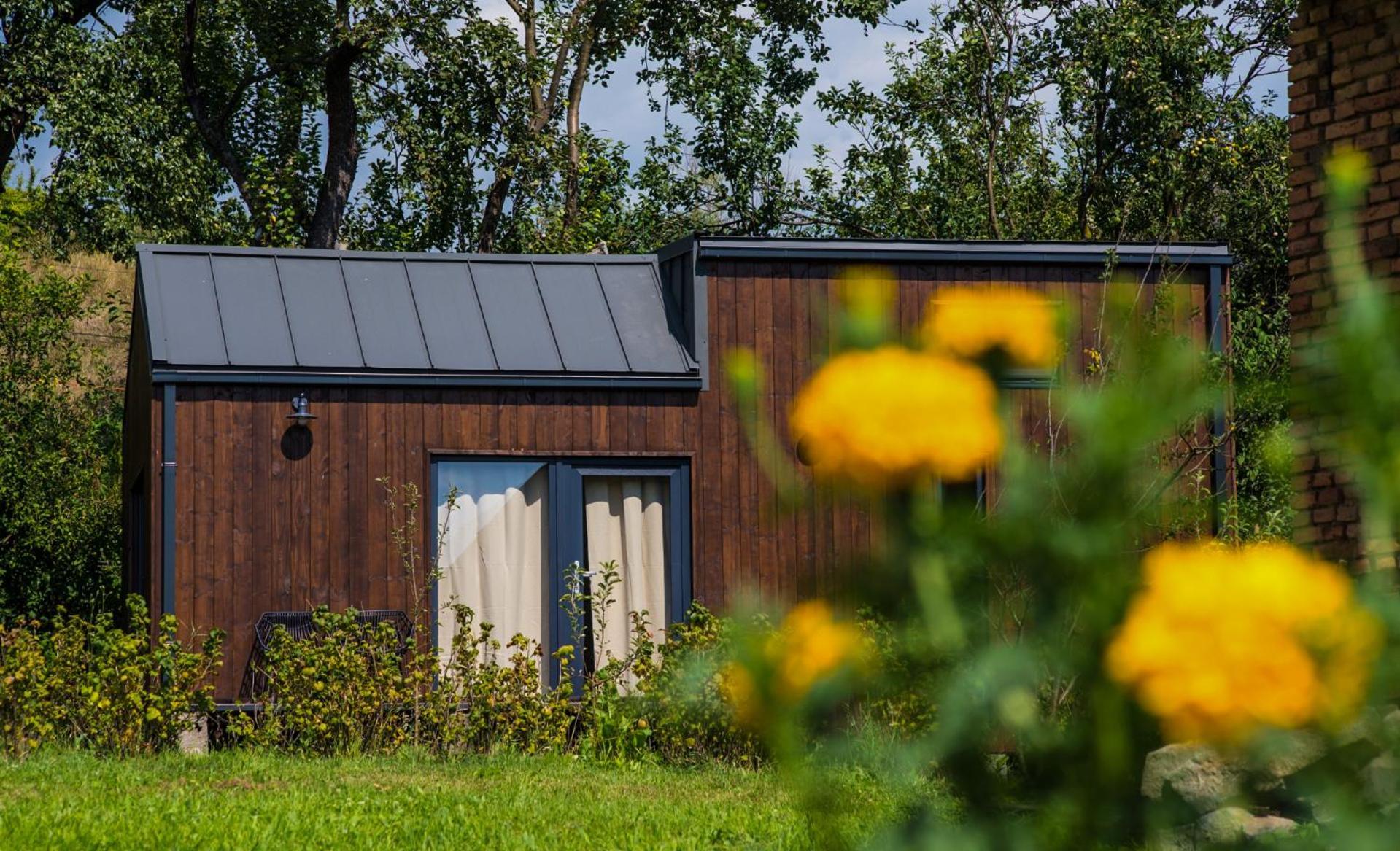 Organicle Lodge Sincraieni Екстер'єр фото